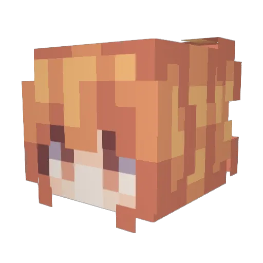 Decife_ Minecraft avatar head, 3D render