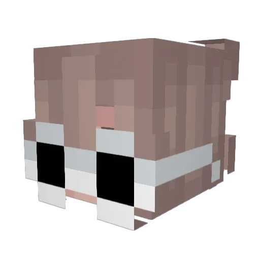 DecisiveLlama79 Minecraft avatar head, 3D render