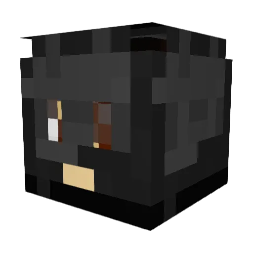 DeckMaster27 Minecraft avatar head, 3D render