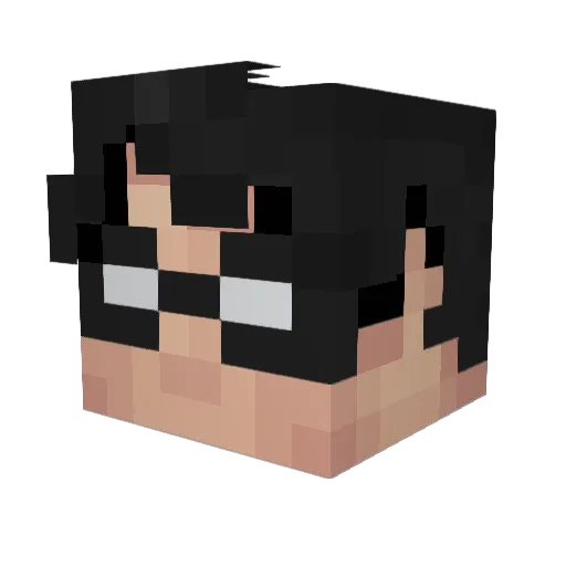 DeckerCheckers Minecraft avatar head, 3D render