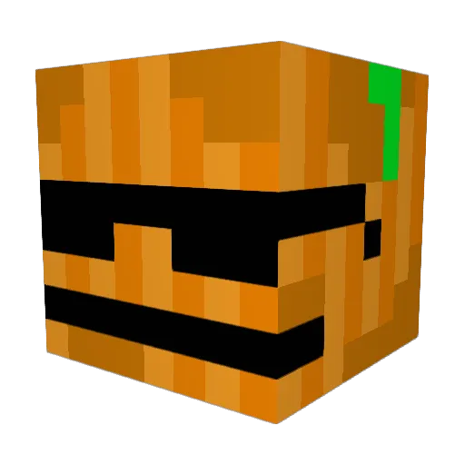 Deckers404 Minecraft avatar head, 3D render