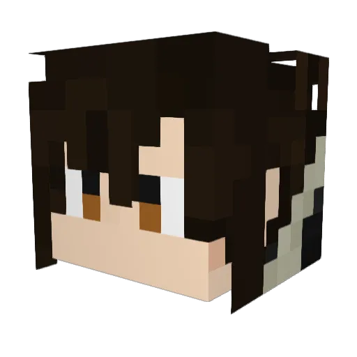Declan1112 Minecraft avatar head, 3D render