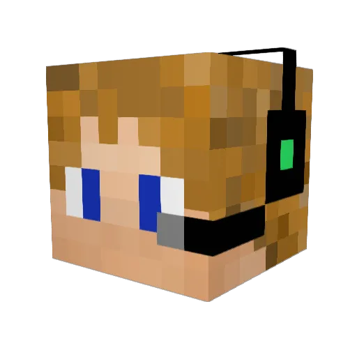 Declan1221 Minecraft avatar head, 3D render