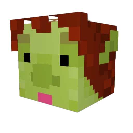 Declan33 Minecraft avatar head, 3D render