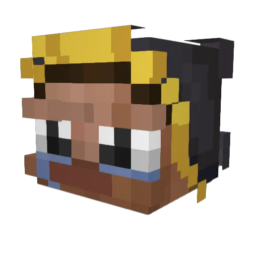 DeclanWild Minecraft avatar head, 3D render