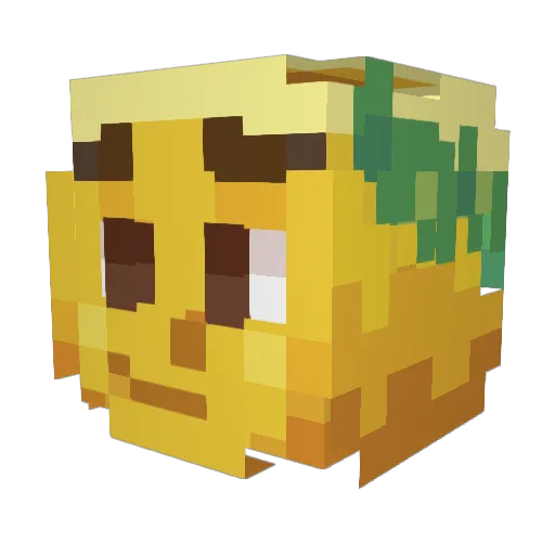 Declane Minecraft avatar head, 3D render