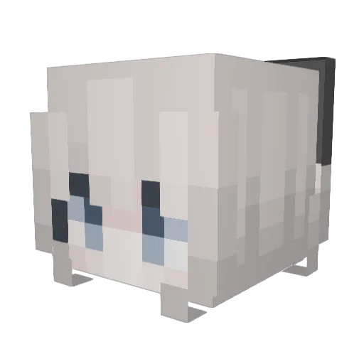 Declinee Minecraft avatar head, 3D render