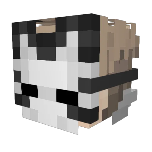 Declixxu Minecraft avatar head, 3D render