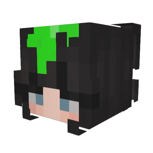 Decsy19 Minecraft avatar head, 3D render