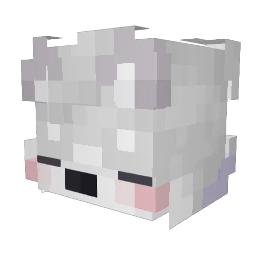 Decyfer Minecraft avatar head, 3D render