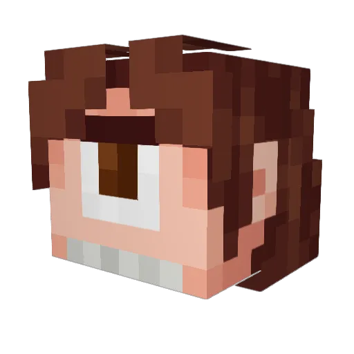 DedRacoon Minecraft avatar head, 3D render