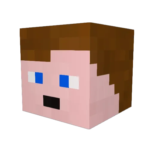 DedWhaleson Minecraft avatar head, 3D render