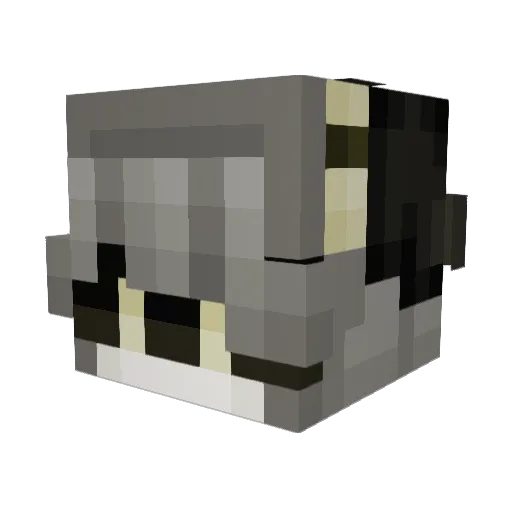 DedacatedWam Minecraft avatar head, 3D render