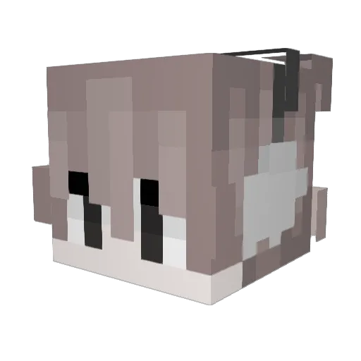 DeddoO_o Minecraft avatar head, 3D render