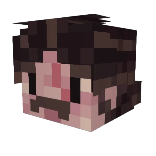Dedelfan Minecraft avatar head, 3D render