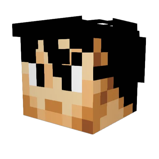 DedidatedWam123 Minecraft avatar head, 3D render