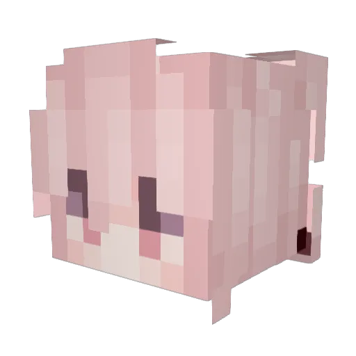 Dedikalt Minecraft avatar head, 3D render