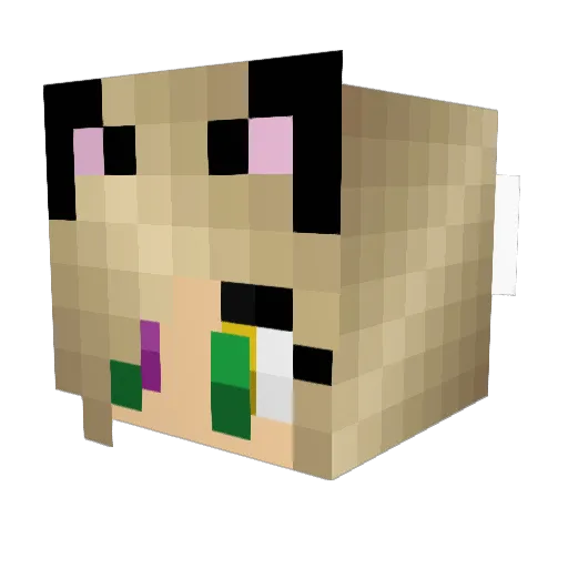 DedmanWalkin Minecraft avatar head, 3D render