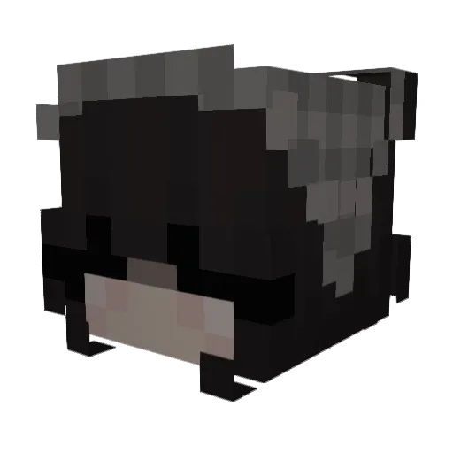 Dedrixx00 Minecraft avatar head, 3D render