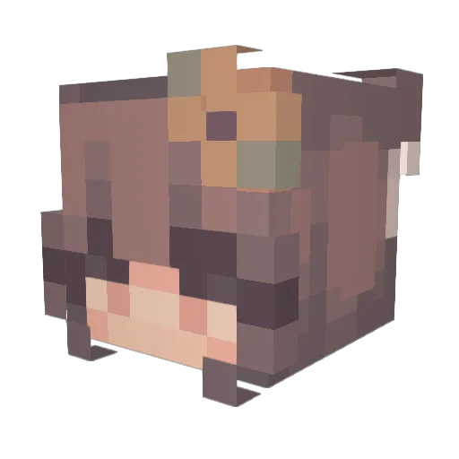 Dee23Gaming Minecraft avatar head, 3D render