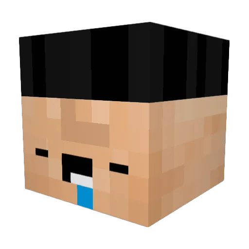 DeeMT Minecraft avatar head, 3D render