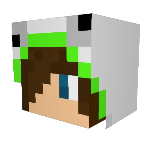 DeeQuest Minecraft avatar head, 3D render