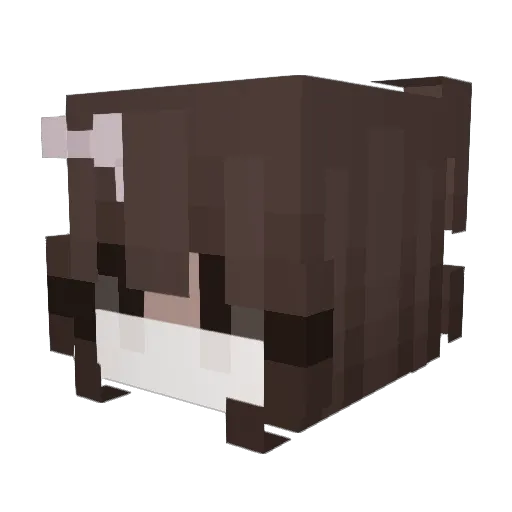 Dee_99 Minecraft avatar head, 3D render
