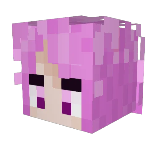 Deebs17 Minecraft avatar head, 3D render