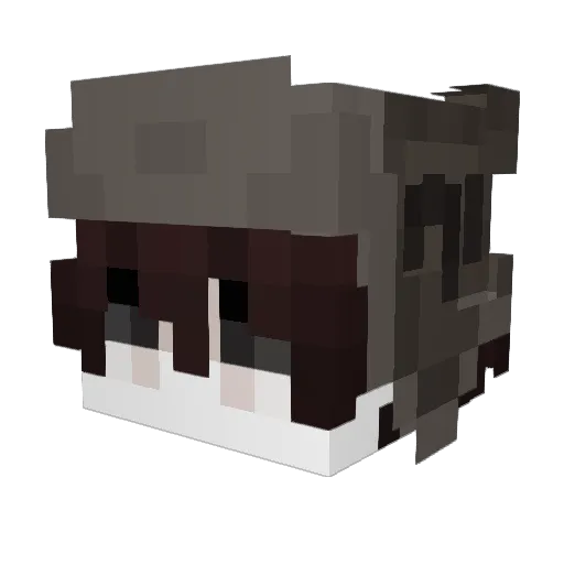 Deefe11 Minecraft avatar head, 3D render