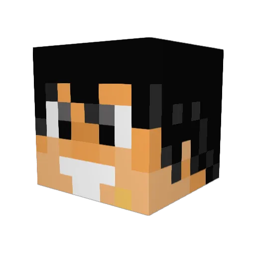 Deeliodas Minecraft avatar head, 3D render