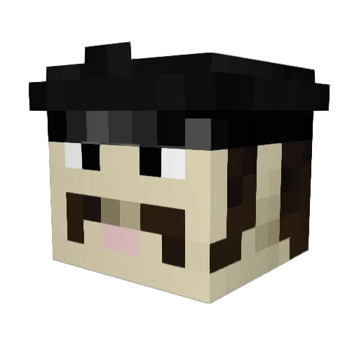 Deelon7 Minecraft avatar head, 3D render