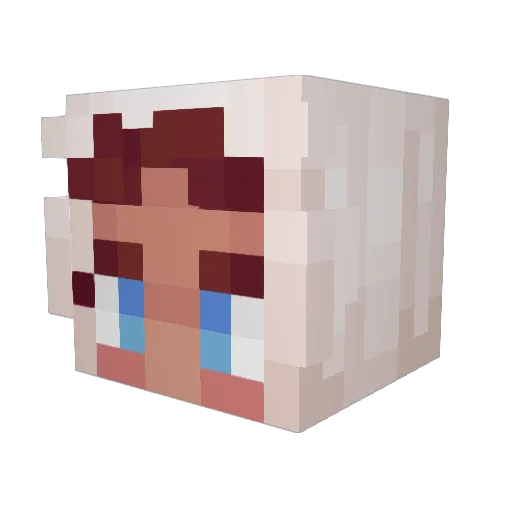 Deenah Minecraft avatar head, 3D render
