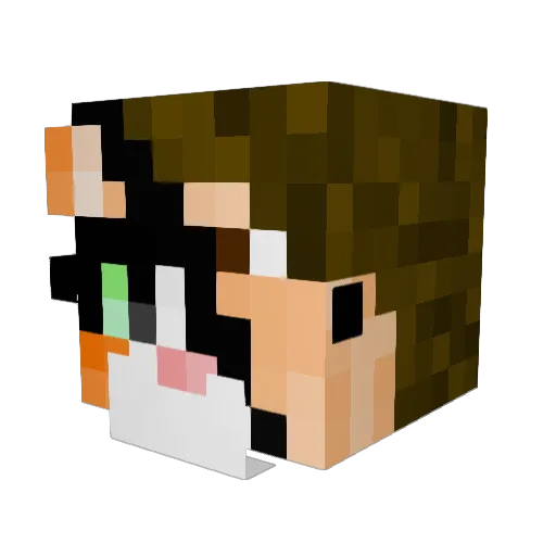 Deenoza Minecraft avatar head, 3D render