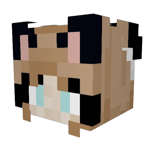 DeepBones22 Minecraft avatar head, 3D render
