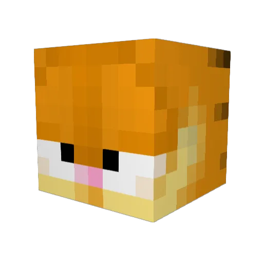 DeepDiggz Minecraft avatar head, 3D render