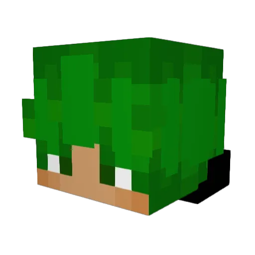 DeepDragonSlayer Minecraft avatar head, 3D render