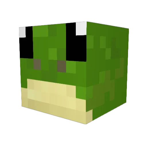 DeepFriedFrog Minecraft avatar head, 3D render