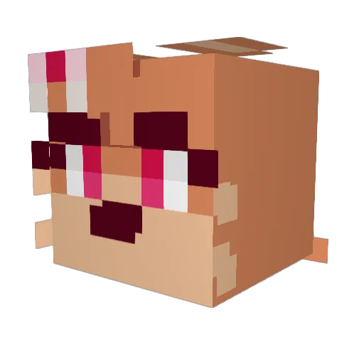DeepFried_Beans Minecraft avatar head, 3D render