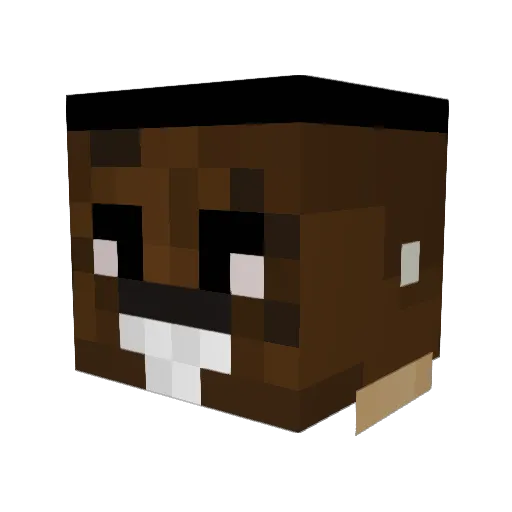 DeepToot84 Minecraft avatar head, 3D render