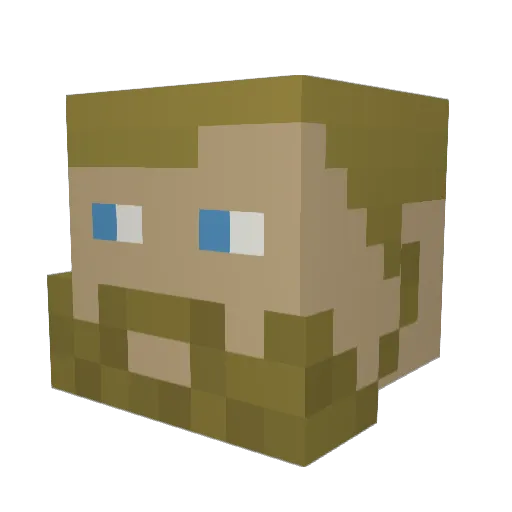Deepfreeze98 Minecraft avatar head, 3D render