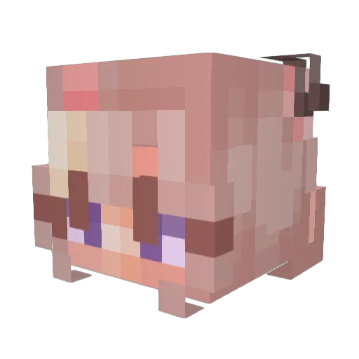 Deepfriedtoastt Minecraft avatar head, 3D render