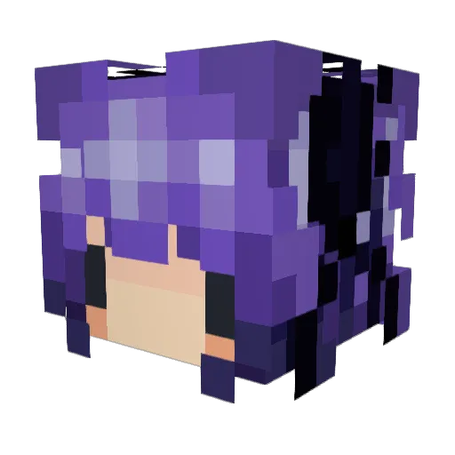 Deepolo556 Minecraft avatar head, 3D render