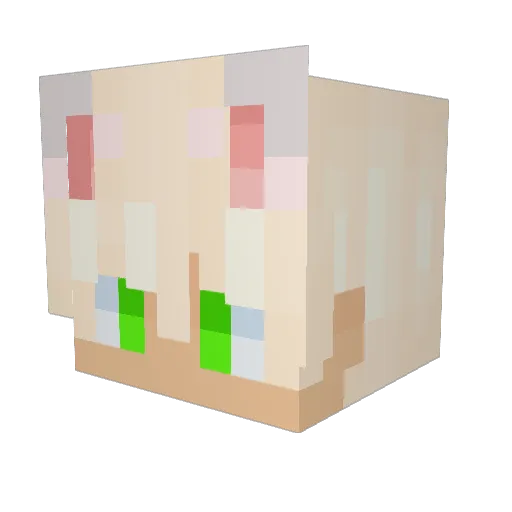 Deepslat3 Minecraft avatar head, 3D render