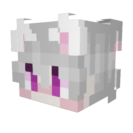 Deepspacexx Minecraft avatar head, 3D render