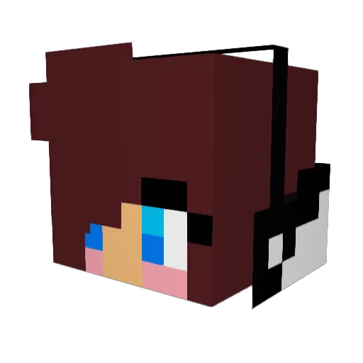 DeerHunter8645 Minecraft avatar head, 3D render