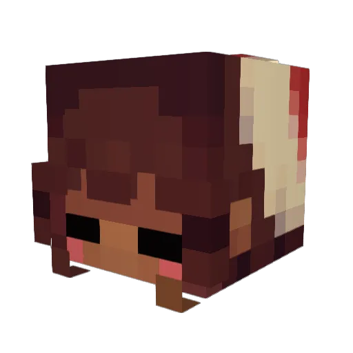 Dees888 Minecraft avatar head, 3D render