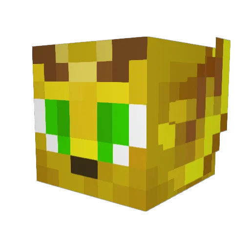 Deeth64 Minecraft avatar head, 3D render