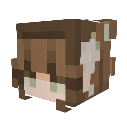 Deetje4 Minecraft avatar head, 3D render