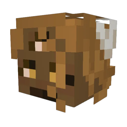DeevyWeevy Minecraft avatar head, 3D render