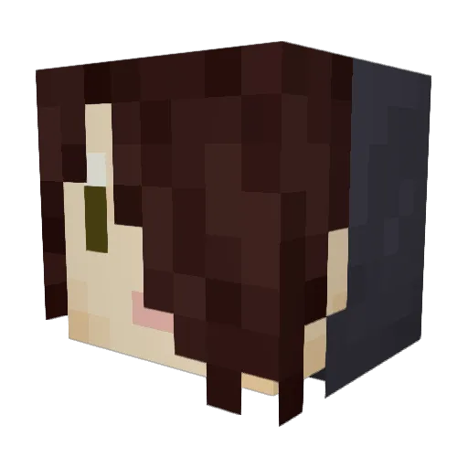 DeezDaftNutz Minecraft avatar head, 3D render